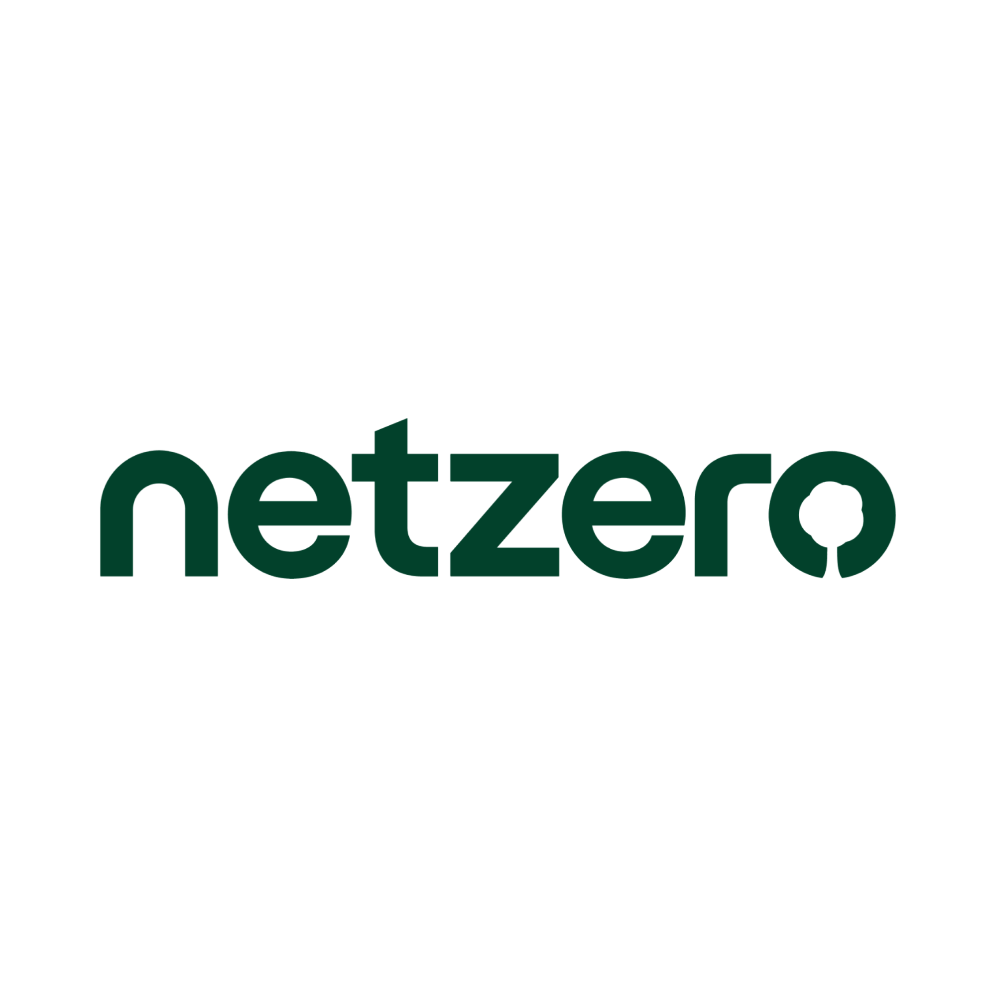 Net Zero